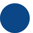 Chrono Flex logo