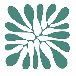 Chronus Health logo