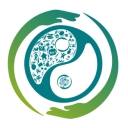 Chrysalis Services logo
