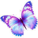 Chrysalis Center
