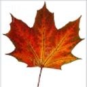 Chtools logo
