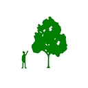 Christopher Hoare Tree Services Ltd logo