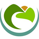 CHUCKANUT HEALTH FOUNDATION logo
