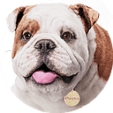 Churchill logo