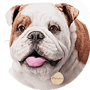Churchill logo