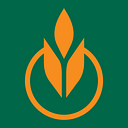 The Culinary Institute of America