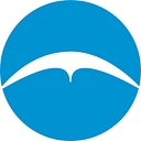 Capital Insurance Group logo