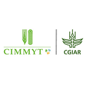 Centro Internacional De Mejoramiento De logo