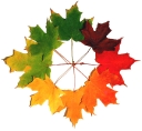 cirrusimage.com icon