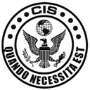 Critical Intervention Services logo