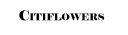 citiflowersdc.com logo