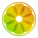 Citrus Solutions Australia logo