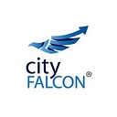 Cityfalcon logo