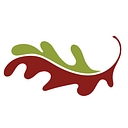 City of Auburn logo