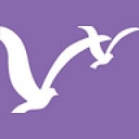 City of Lake Buena Vista logo