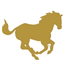 City of Mustang logo