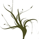 City Of Winters logo