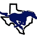 City View Isd logo