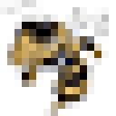 Clay County Schools logo