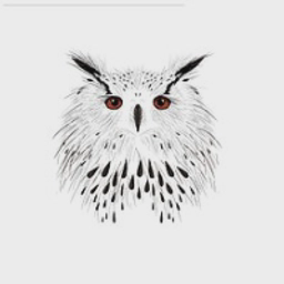 Cleanwise Limited logo