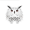 Cleanwise Ltd logo