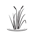 Clear Creek Dentistry