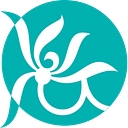Clear Passage Physical Therapy logo