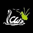 Clearwater D C 2001 Limited logo