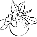 Clementine WP