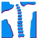 Clements Chiropractic logo