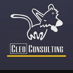 Cleo Consulting logo