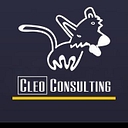 Cleo Consulting logo