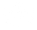 Clinton Electric Co logo