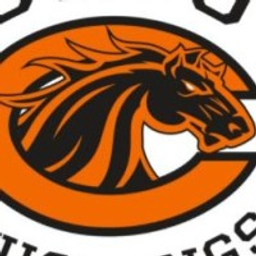 Clio Area High School logo