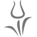 Clive Nichols Photography Limited logo