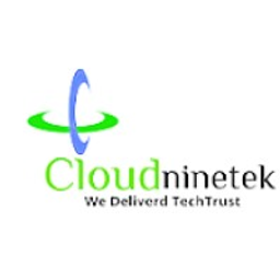 Cloud Nine Tek LLC logo
