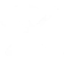 CMB Handyman Services logo