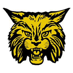 Carrier Mills-Stonefort Elem Sch logo