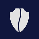 Center for a New American Security Inc logo