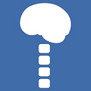 CNSA logo