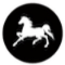 Coach Capital Partners logo