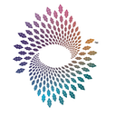 Co-Active Training Institute
