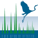 Coastal Neurology logo