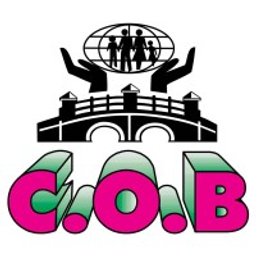 cobcreditunion.com