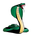 Cobra Concrete Cutting Services Co. logo