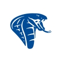 Cobra Enterprises
