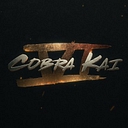 Logo for cobrakaistore.com