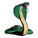 Cobra Southeast Construction Services