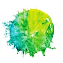 CocoCoast logo