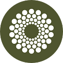 Cocoon logo